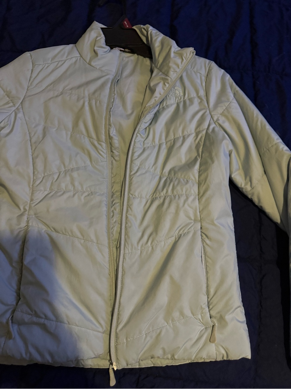 The North Face Women's Pale Green Insulated Puffer Jacket
